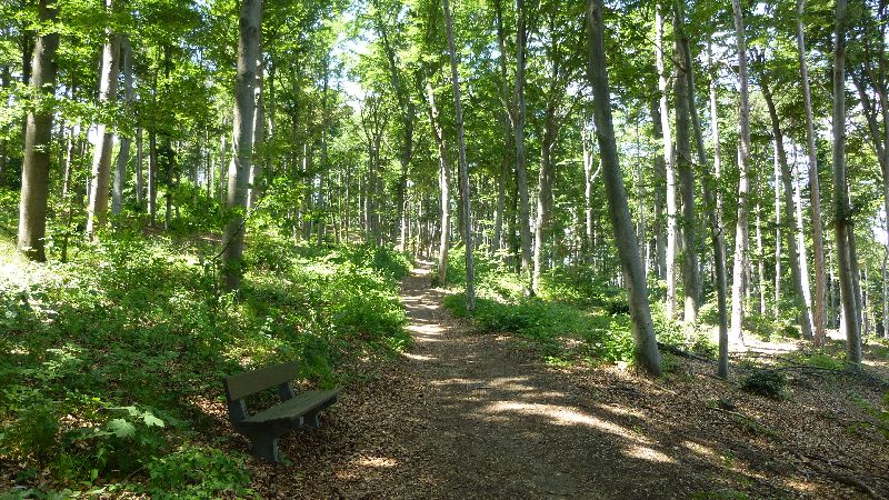 Guglzipf Berndorf Wandern Natur Wald