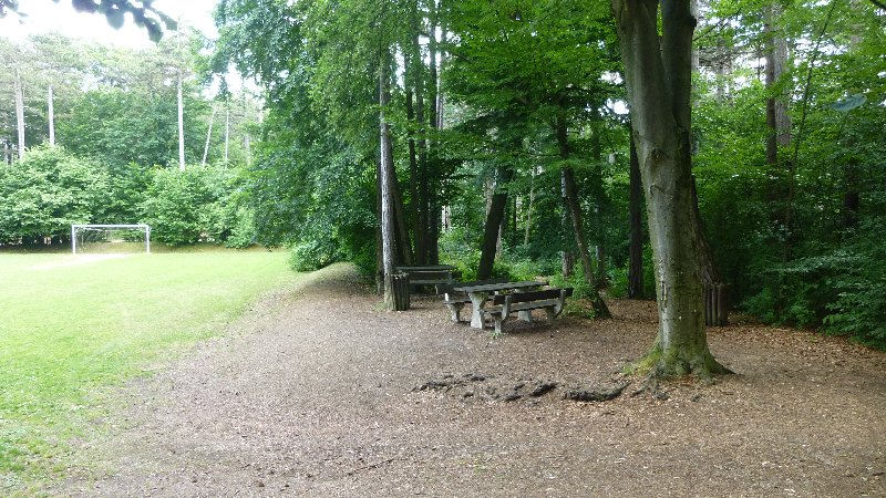 Guglzipf Berndorf Wandern Natur Wald