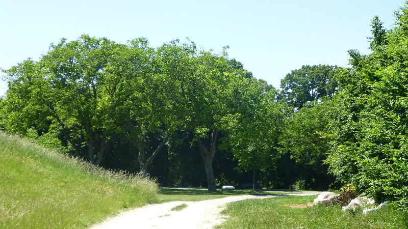 Sonnenberg Wandern Leithagebirge Wanderung