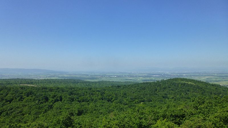 Sonnenberg Wandern Leithagebirge Wanderung Aussicht