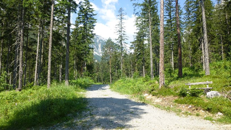 Grüner See Gruener See Wandern Natur Steiermark Ausflug