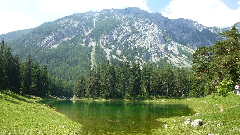 Grüner See Gruener See Wandern Natur Steiermark Ausflug