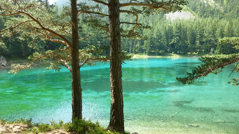 Grüner See Gruener See Wandern Natur Steiermark Ausflug