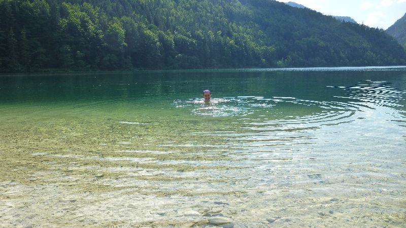 Leopoldsteiner See Natur Wandern Schwimmen Steiermark Ausflug Badesee