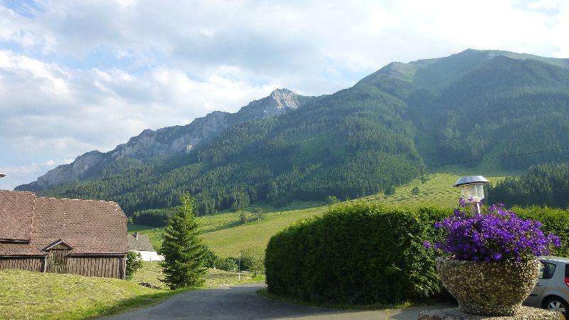 Leopoldsteiner See Natur Wandern Schwimmen Steiermark Ausflug Badesee Vordernberg