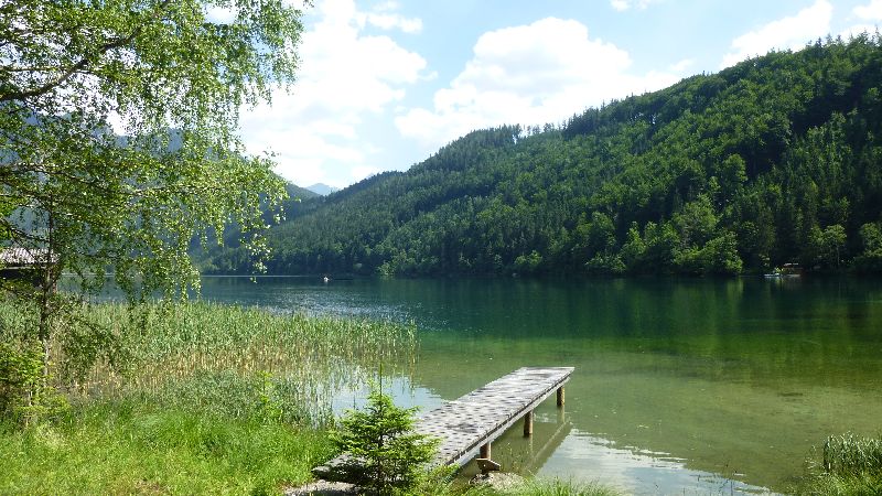 Leopoldsteiner See Natur Wandern Schwimmen Steiermark Ausflug Badesee