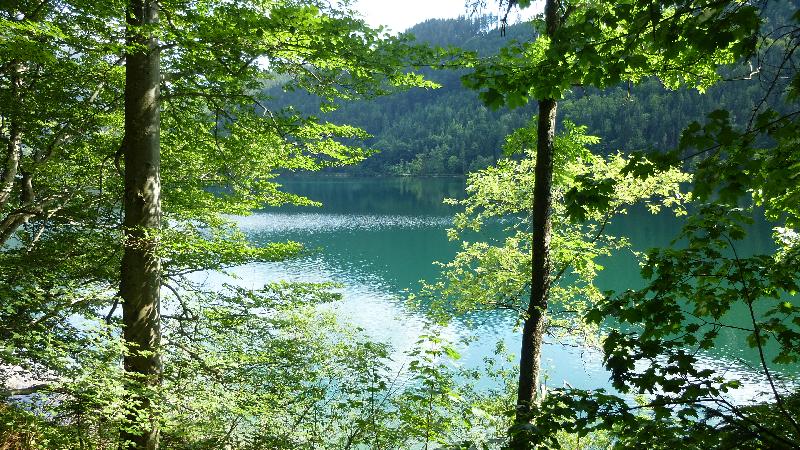 Leopoldsteiner See Natur Wandern Schwimmen Steiermark Ausflug Badesee