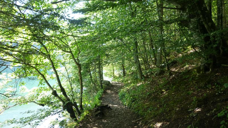 Leopoldsteiner See Natur Wandern Schwimmen Steiermark Ausflug Badesee