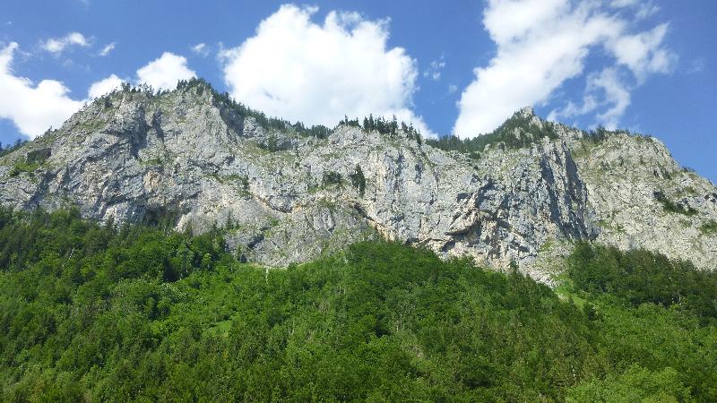 Leopoldsteiner See Natur Wandern Schwimmen Steiermark Ausflug Badesee