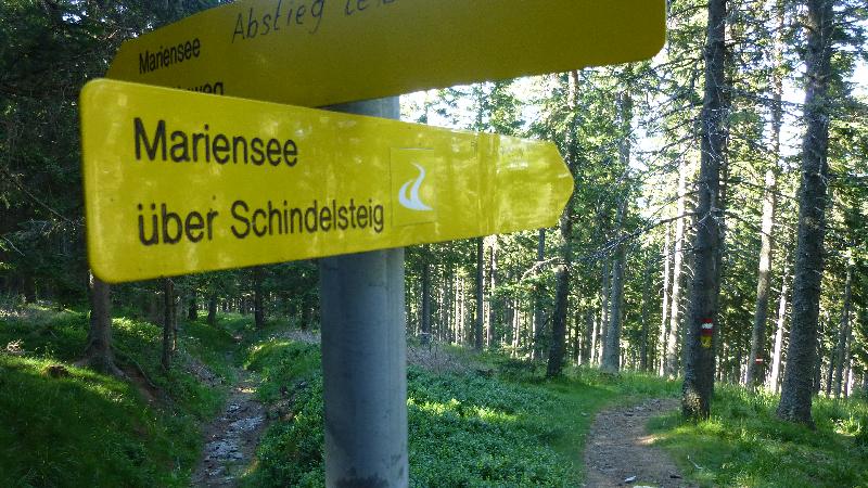 Wandern Natur Wald Mariensee Wildwasser Pöstlingbach Marienseer Schwaig Schindelsteig