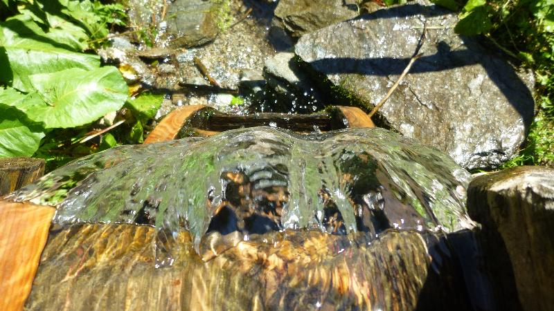 Wandern Natur Wald Mariensee Wildwasser Pöstlingbach Wasser Wassermühle