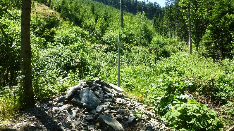 Wandern Natur Wald Mariensee Wildwasser Pöstlingbach Steinpyramide