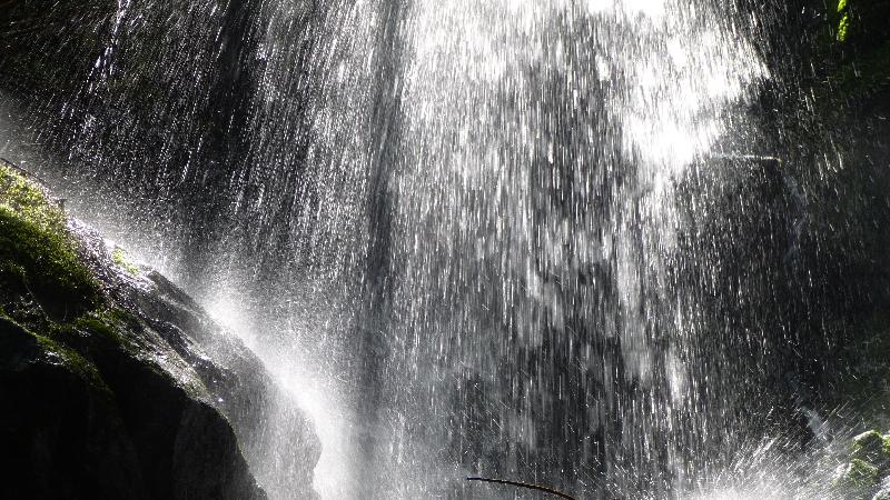 Wandern Natur Wald Mariensee Wildwasser Pöstlingbach Wasserfall