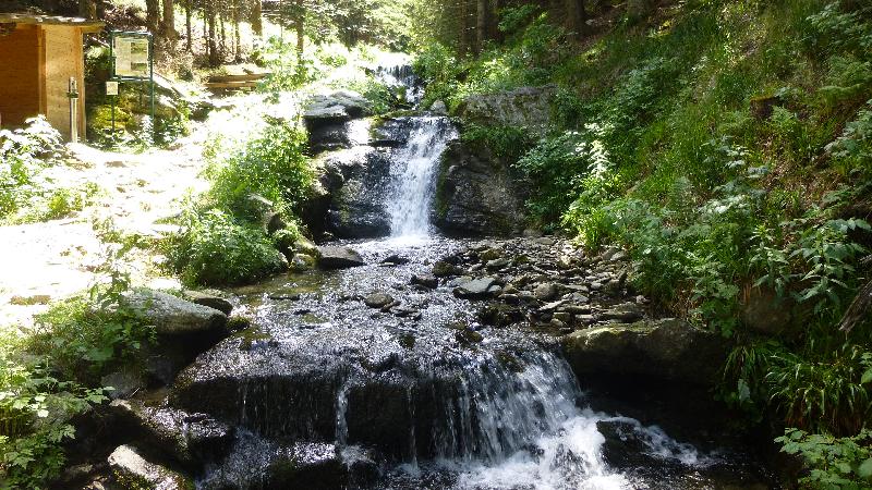 Wandern Natur Wald Mariensee Wildwasser Pöstlingbach