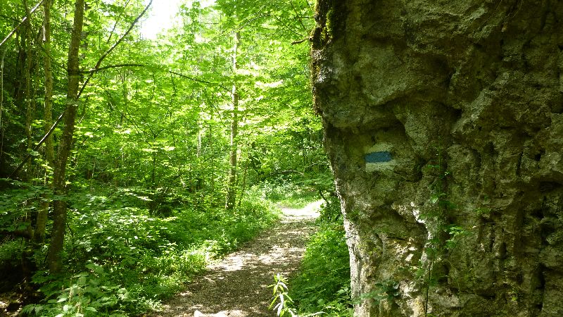 Steinwandklamm Wandern Wanderung Furth Klamm Rudolf Decker Steig