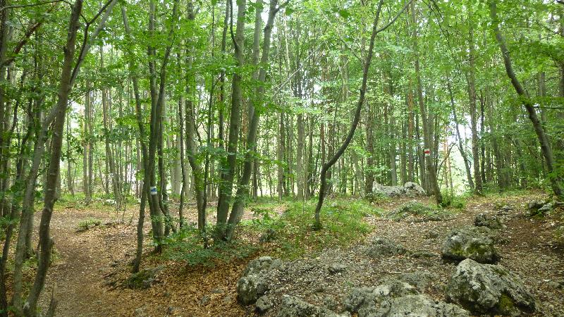 Steinwandklamm Wandern Wanderung Furth Klamm Rudolf Decker Steig