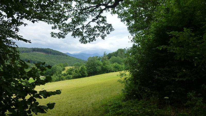 Steinwandklamm Wandern Wanderung Furth Klamm Rudolf Decker Steig Aussicht Schneeberg