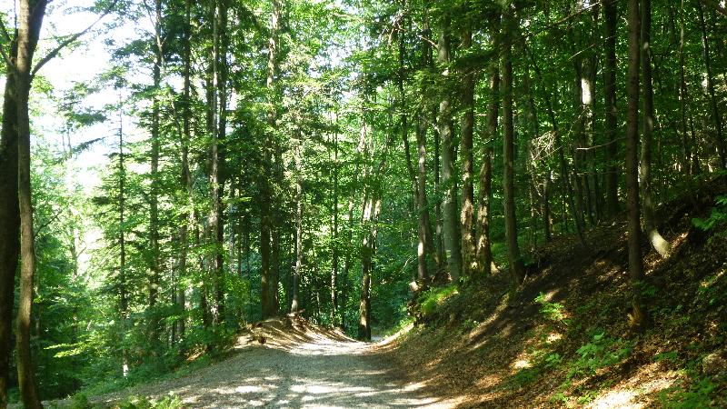 Steinwandklamm Wandern Wanderung Furth Klamm Rudolf Decker Steig