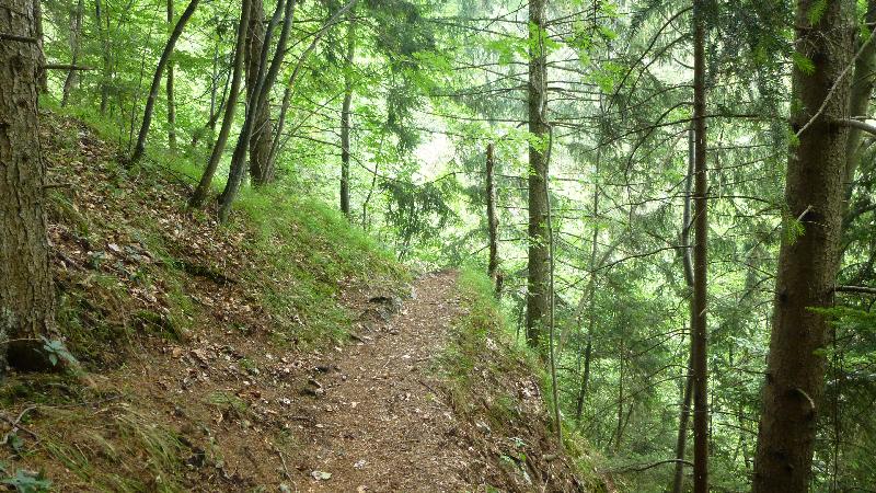 Steinwandklamm Wandern Wanderung Furth Klamm Rudolf Decker Steig