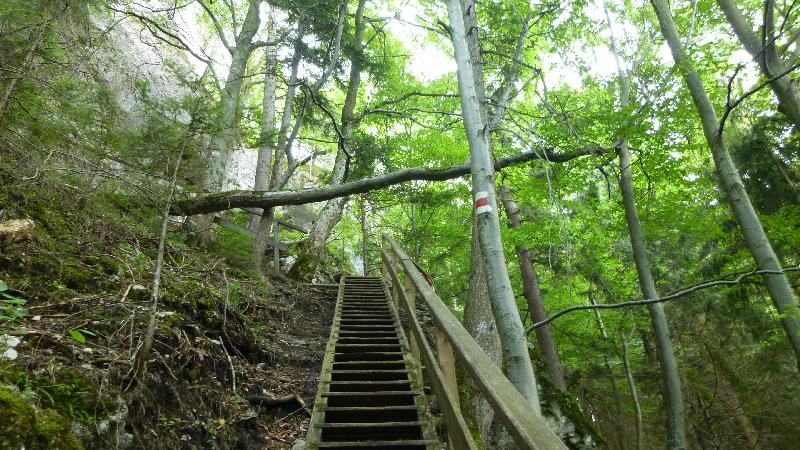 Steinwandklamm Wandern Wanderung Furth Klamm Rudolf Decker Steig