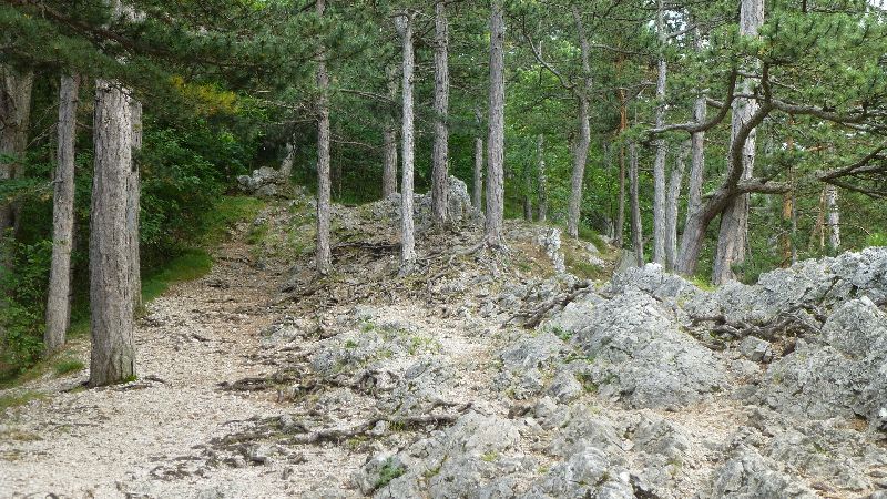 Steinwandklamm Wandern Wanderung Furth Klamm Rudolf Decker Steig