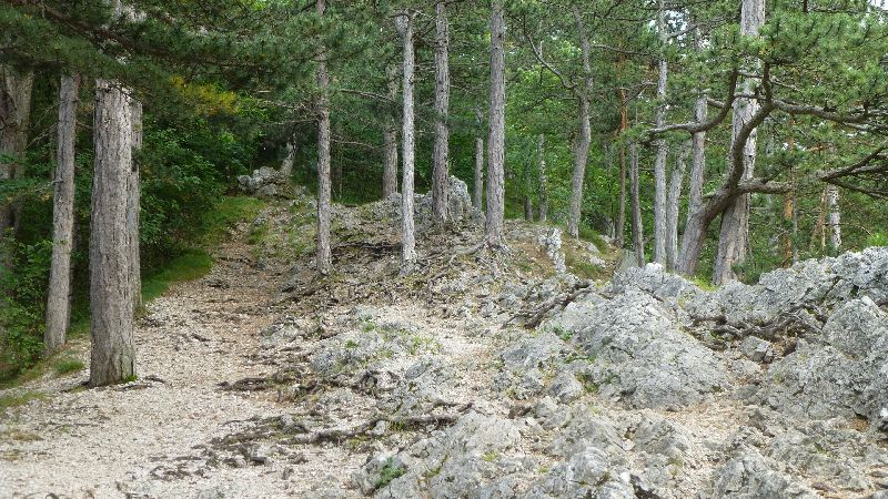 Steinwandklamm Wandern Wanderung Furth Klamm Rudolf Decker Steig