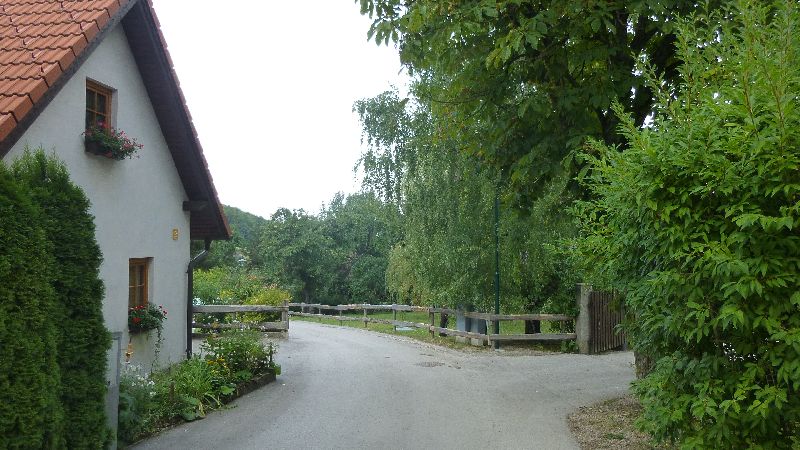 Maria Raisenmarkt Ruine Arnstein Peilstein Wandern Natur Wald Wanderung Holzschlag