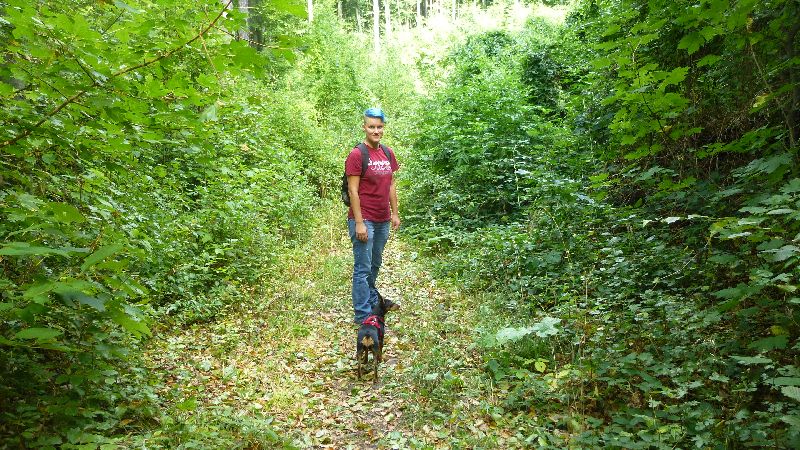 Maria Raisenmarkt Ruine Arnstein Peilstein Wandern Natur Wald Wanderung