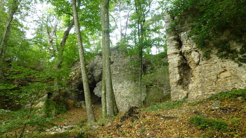 Maria Raisenmarkt Ruine Arnstein Peilstein Wandern Natur Wald Wanderung Höhle