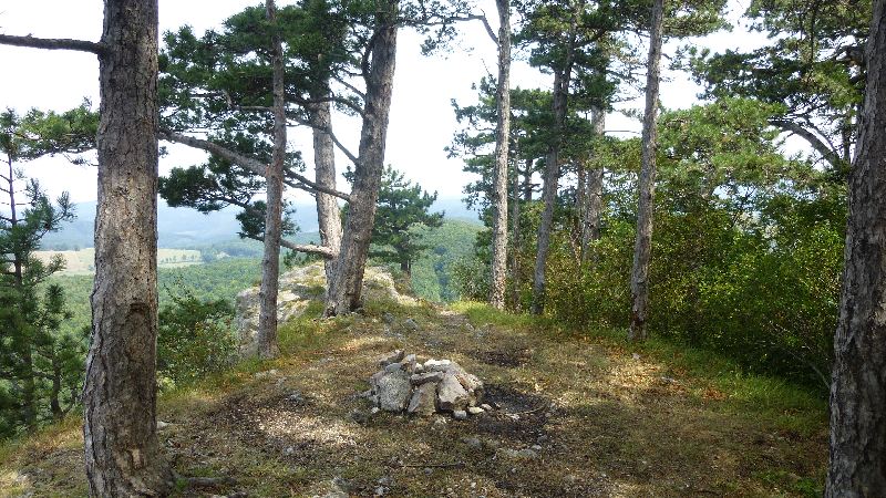 Maria Raisenmarkt Ruine Arnstein Peilstein Wandern Natur Wald Wanderung