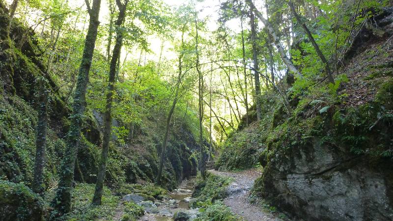 Johannesbachklamm Wandern Wanderung Natur Würflach Wald