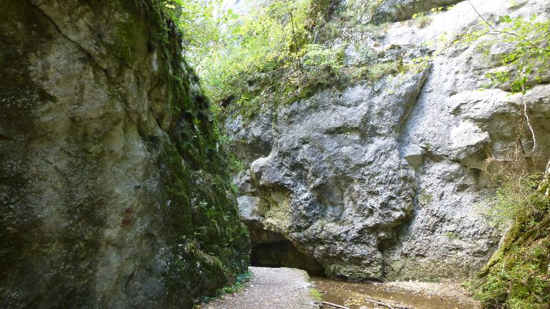 Johannesbachklamm Wandern Wanderung Natur Würflach Wald