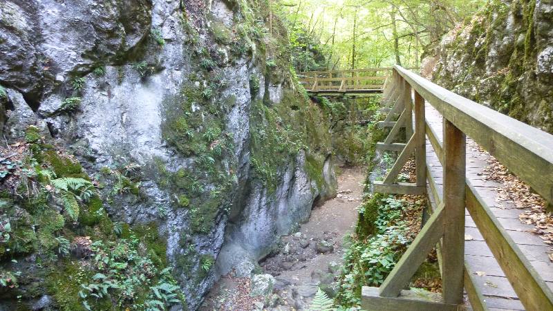 Johannesbachklamm Wandern Wanderung Natur Würflach Wald