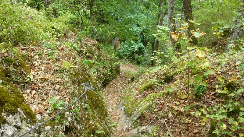 Johannesbachklamm Wandern Wanderung Natur Würflach Aussicht Hohe Wand Wald Ruine Schrattenstein