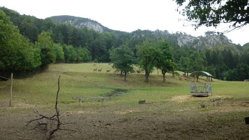 Johannesbachklamm Wandern Wanderung Natur Würflach Aussicht Hohe Wand Wald Ruine Schrattenstein