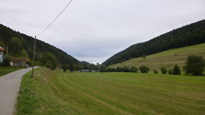 Johannesbachklamm Wandern Wanderung Natur Würflach Aussicht Hohe Wand Wald Greith