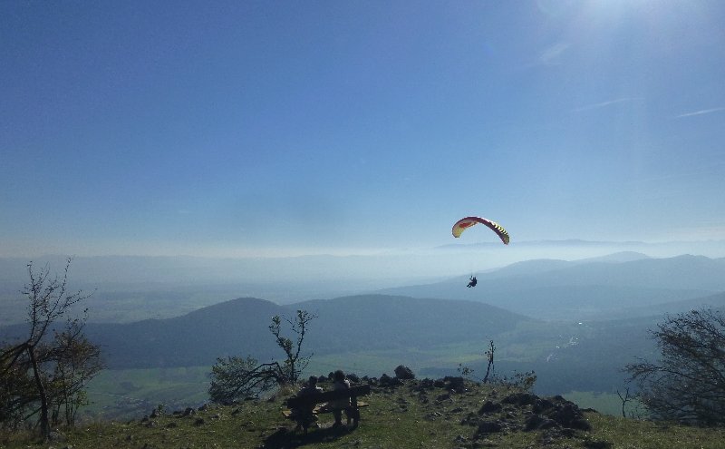 Hohe Wand Niederösterreich Skywalk Aussichtsturm Tierpark Naturpark Wandern Wanderung Aussicht Paragleiter Paragleiten