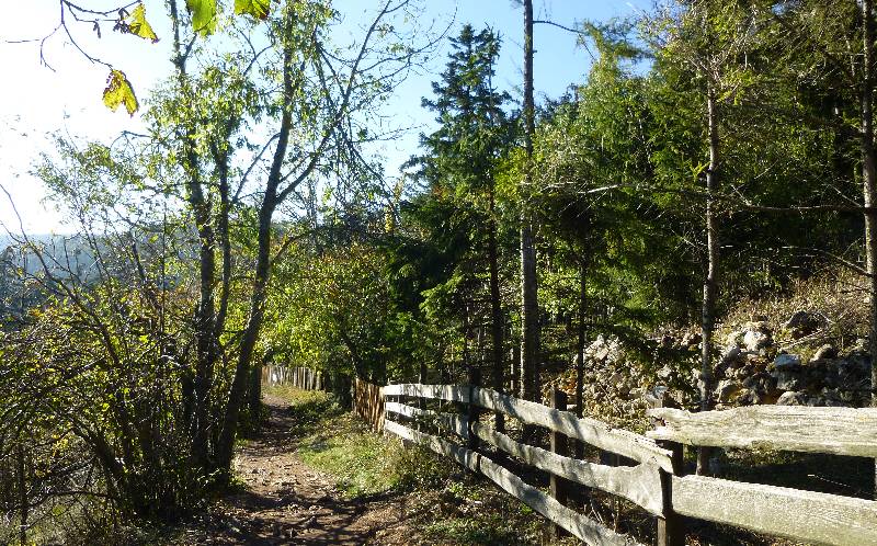 Hohe Wand Niederösterreich Skywalk Aussichtsturm Tierpark Naturpark Wandern Wanderung Aussicht