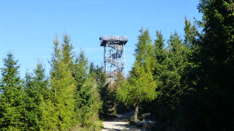 Hohe Wand Niederösterreich Skywalk Aussichtsturm Tierpark Naturpark Wandern Wanderung Aussicht