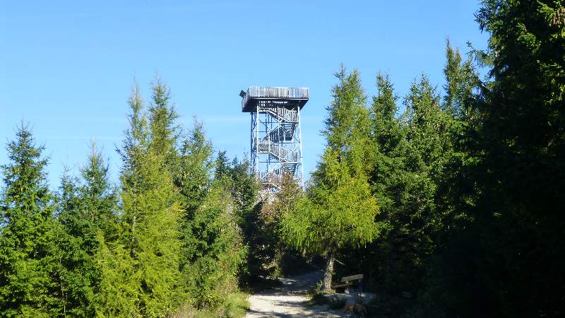 Hohe Wand Niederösterreich Skywalk Aussichtsturm Tierpark Naturpark Wandern Wanderung Aussicht