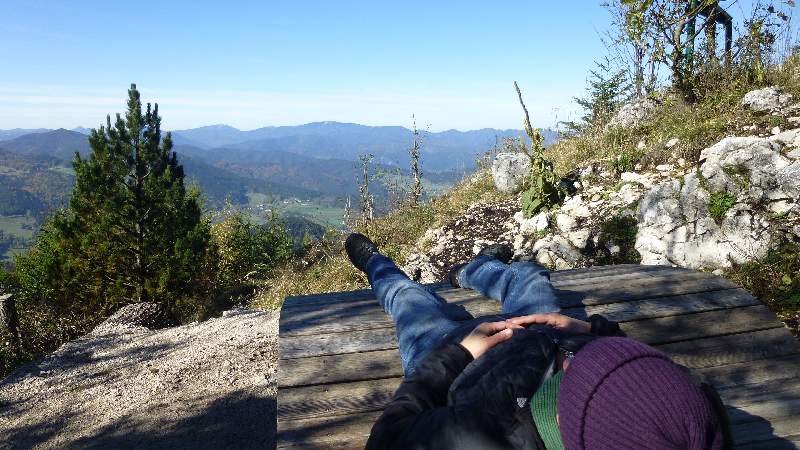 Hohe Wand Niederösterreich Skywalk Aussichtsturm Tierpark Naturpark Wandern Wanderung Aussicht