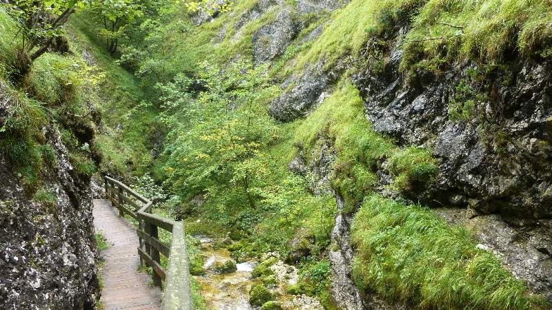 Wasserlochklamm Klamm Steiermark Wasserfälle Wasserfall Wandern Wanderung Palfau