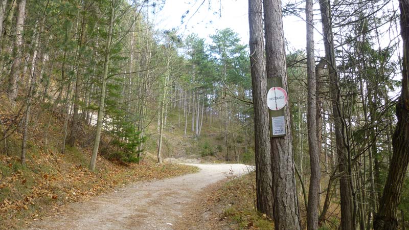 Wandern Wanderung Niederösterreich Gaisstein Gipfel Gipfelkreuz Aussicht