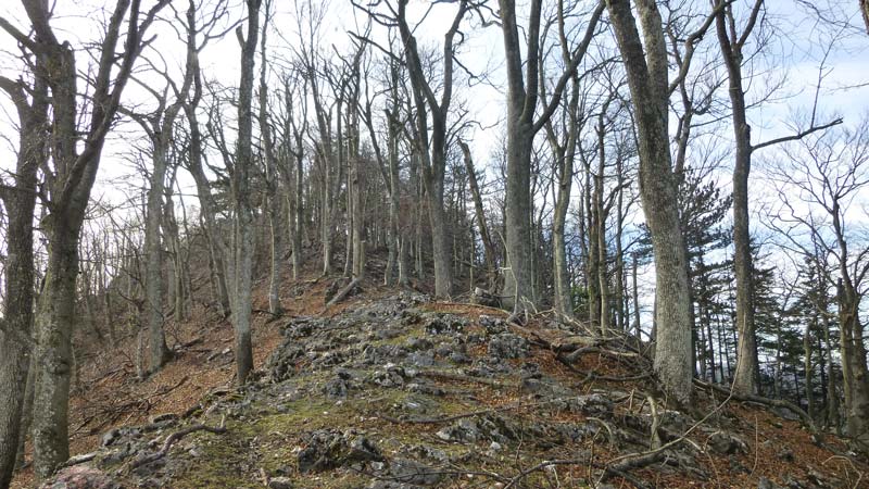 Wandern Wanderung Niederösterreich Gaisstein Gipfel Gipfelkreuz Aussicht