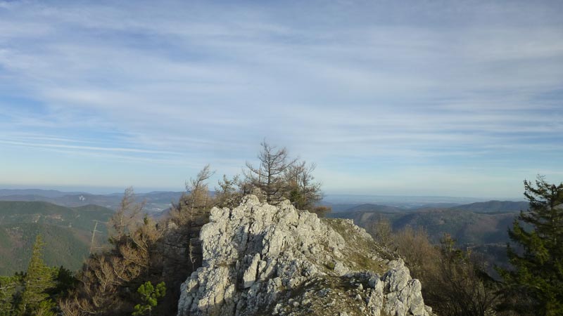 Wandern Wanderung Niederösterreich Gaisstein Gipfel Gipfelkreuz Aussicht