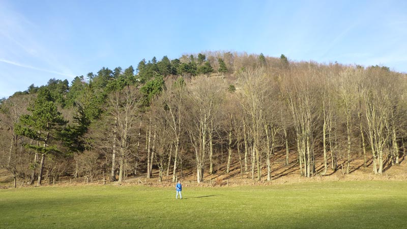 Wandern Wanderung Niederösterreich Gaisstein Gipfel Gipfelkreuz Aussicht