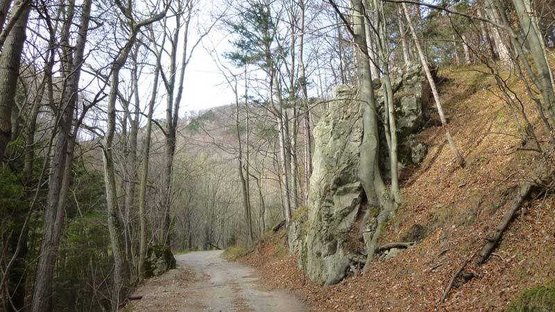 Wandern Wanderung Niederösterreich Gaisstein Gipfel Gipfelkreuz Aussicht