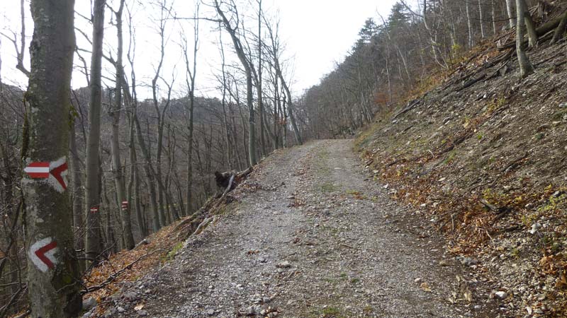 Wandern Wanderung Niederösterreich Gaisstein Gipfel Gipfelkreuz Aussicht