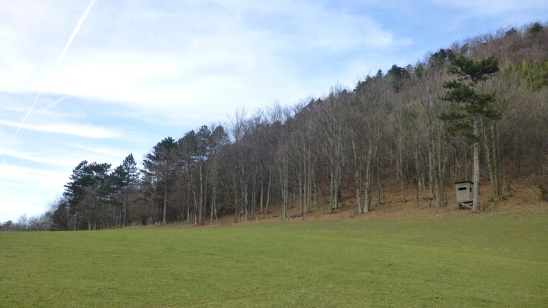 Wandern Wanderung Niederösterreich Gaisstein Gipfel Gipfelkreuz Aussicht