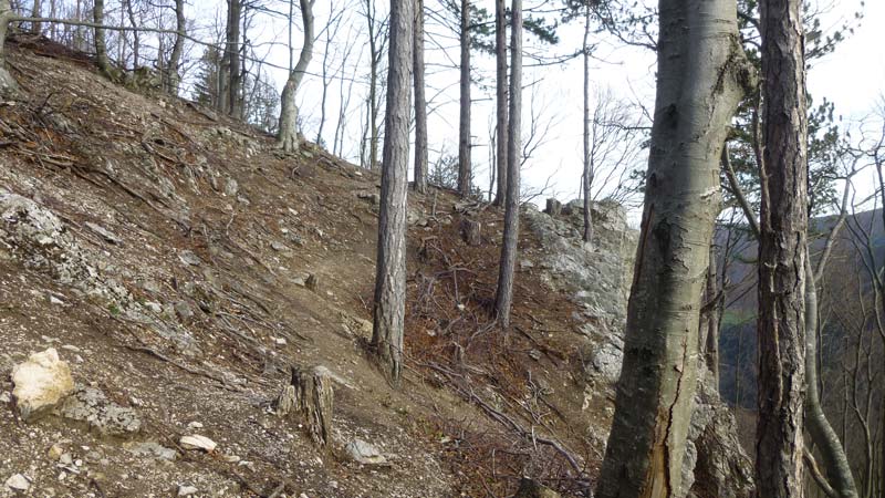 Wandern Wanderung Niederösterreich Gaisstein Gipfel Gipfelkreuz Aussicht